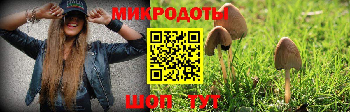 Бахчисарай  Псилоцибиновые грибы Cubensis  Вход с VPN 