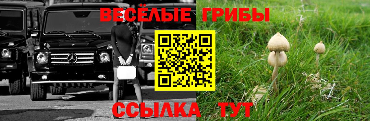 Псилоцибиновые грибы GOLDEN TEACHER Бахчисарай